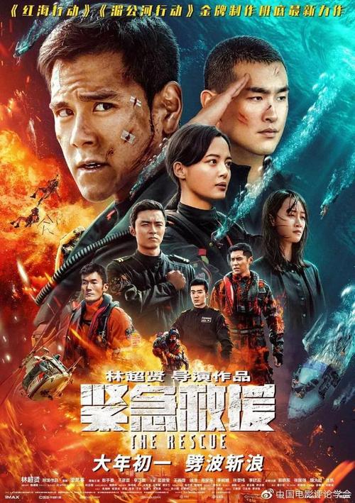购买假日本驾照